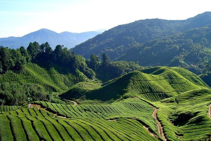 Sweet Homestay 3Rm @ Penthouse Apartment In Brinchang Esterno foto